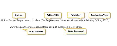 How to Cite a Government Website MLA: A Journey Through the Labyrinth of Academic Referencing